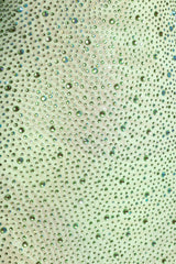 Cassiopeia-Embellished Fishtail Maxi Dress in Pistachio